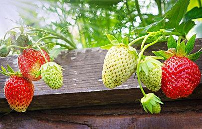 3D平台冒险解谜游戏《汉娜》现已在Steam平台推出试玩Demo 11月1日正式发售